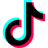 TikTok Icon